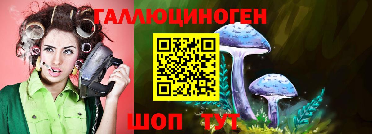 Галлюциногенные грибы Magic Shrooms  Вход с VPN  Златоуст 